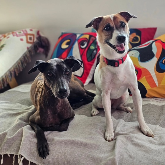 Two of the gang on the sofa
