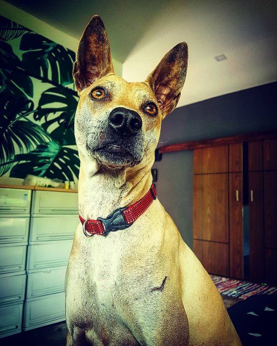 Instagram post from 2020-03-03