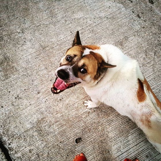 Instagram post from 2020-03-13