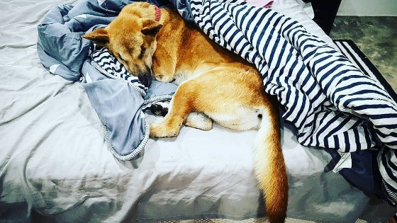 Instagram post from 2020-03-13