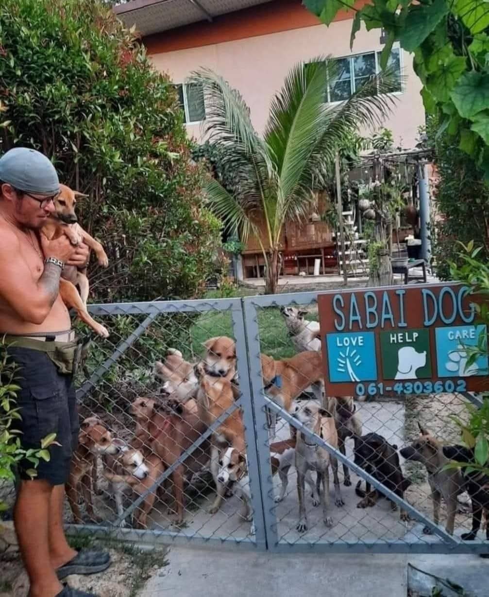 Mantas at the gate with the dogs