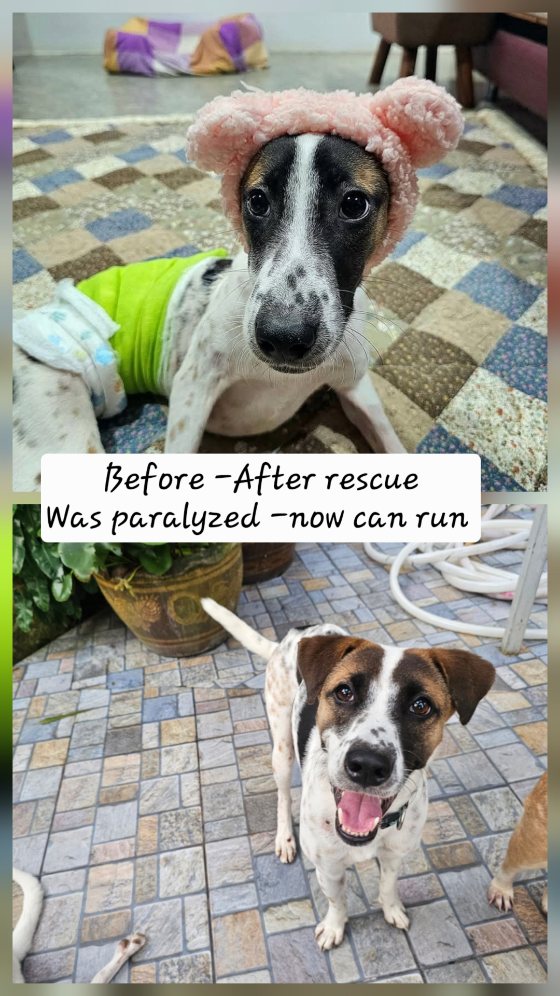 Before and after rescue