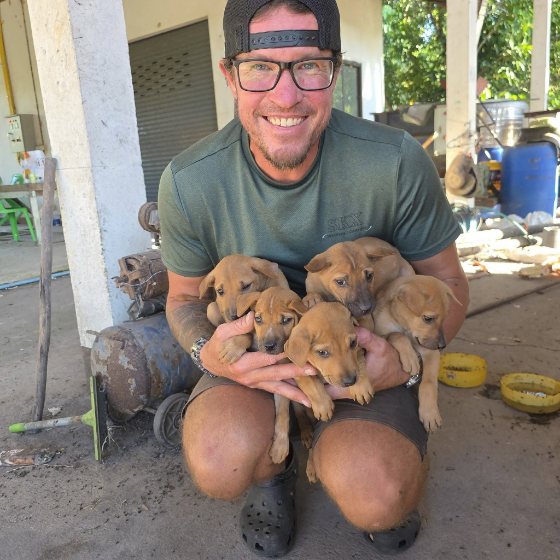 Five puppies found dumped at the landfill, held by Mantas
