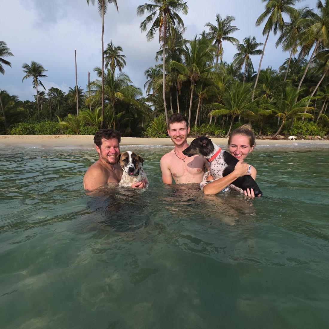 Volunteers in the sea with two of the dogs