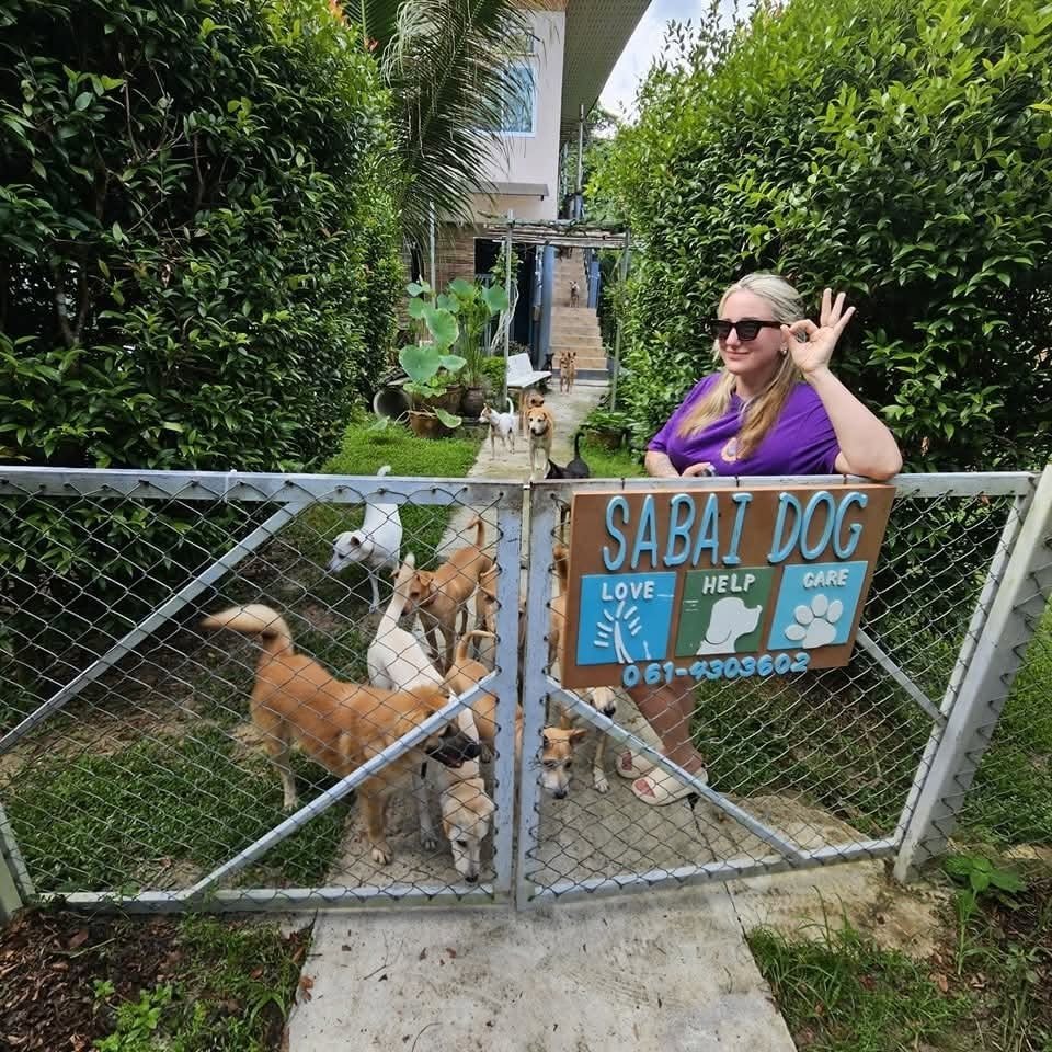 A visitor at the Sabai Dog gate