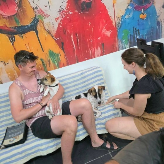 Volunteers with the dogs