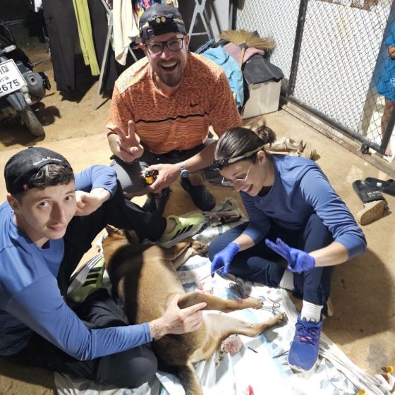 Volunteers with the dogs