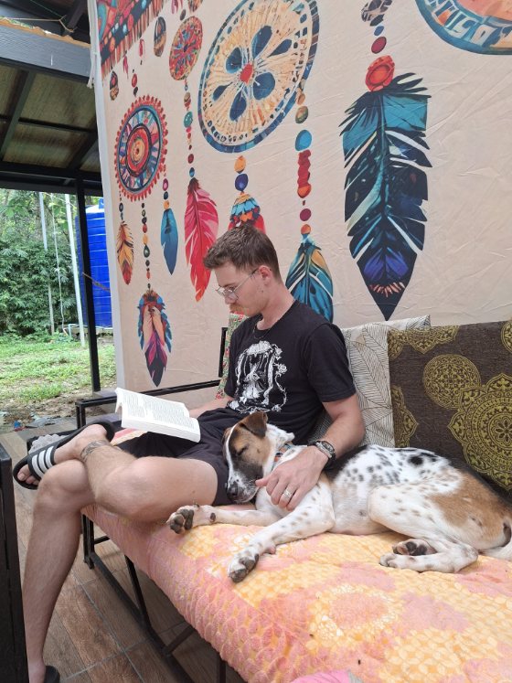Volunteers with the dogs